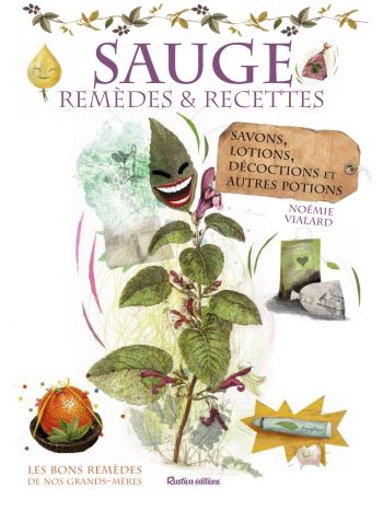 Sauge : remèdes et recettes