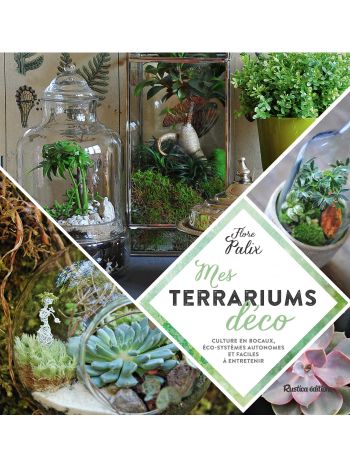 Mes terrariums déco