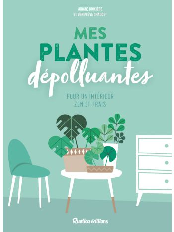 Mes plantes dépolluantes pour un intérieur zen et frais