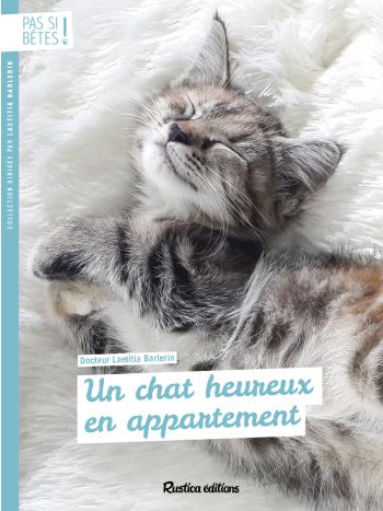 Un chat heureux en appartement