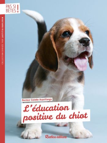 L'éducation positive du chiot