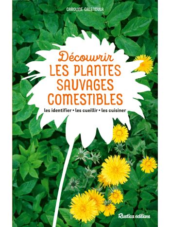 Découvrir les plantes sauvages comestibles