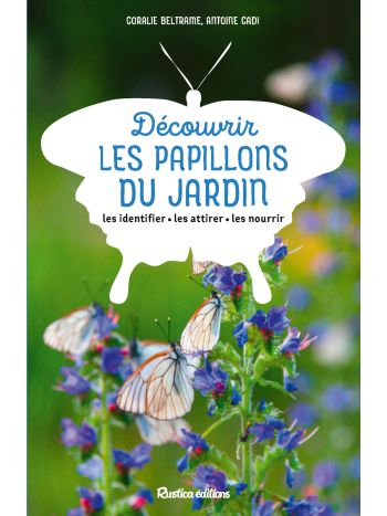 Découvrir les papillons du jardin