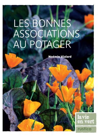 Les bonnes associations au potager