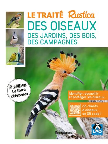 Le traité Rustica des oiseaux