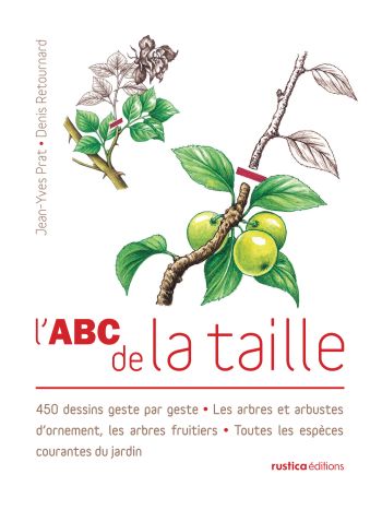 L'ABC de la taille