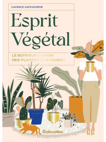 LE PETIT LAROUSSE DES BONSAI - PLANTES D'INTERIEUR - JARDINAGE