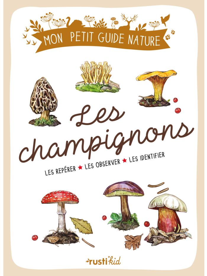 Les champignons