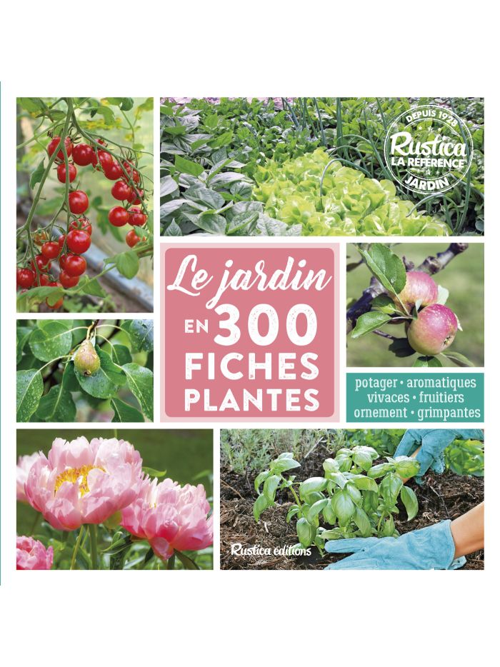 Savoir composer un beau jardin : nos fiches conseil pratiques