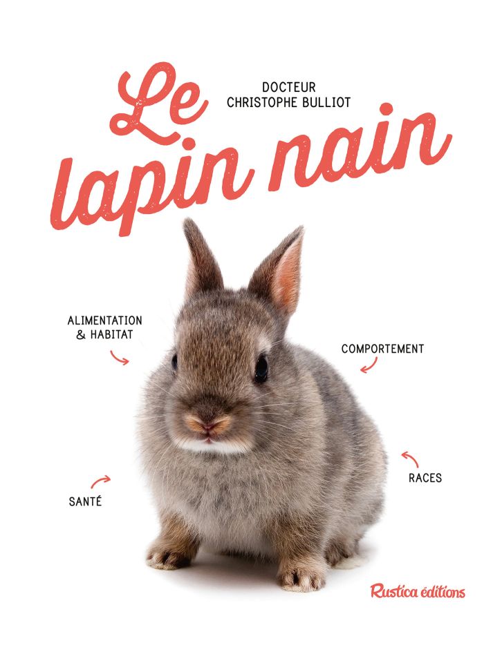 Cache cache - Cours Lapin