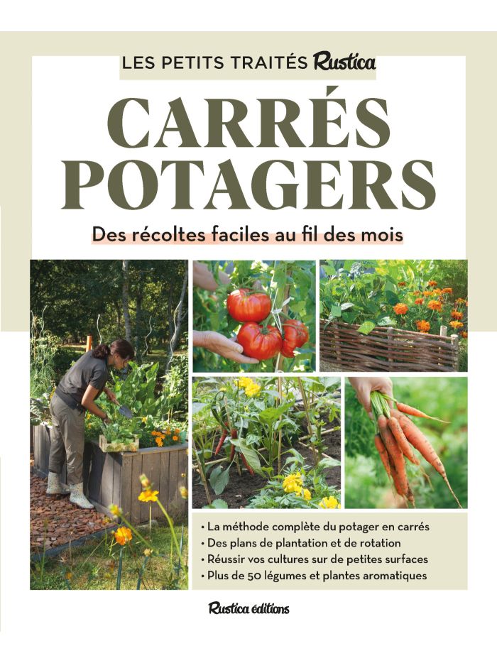 Potager d'intérieur : guide complet du jardinage