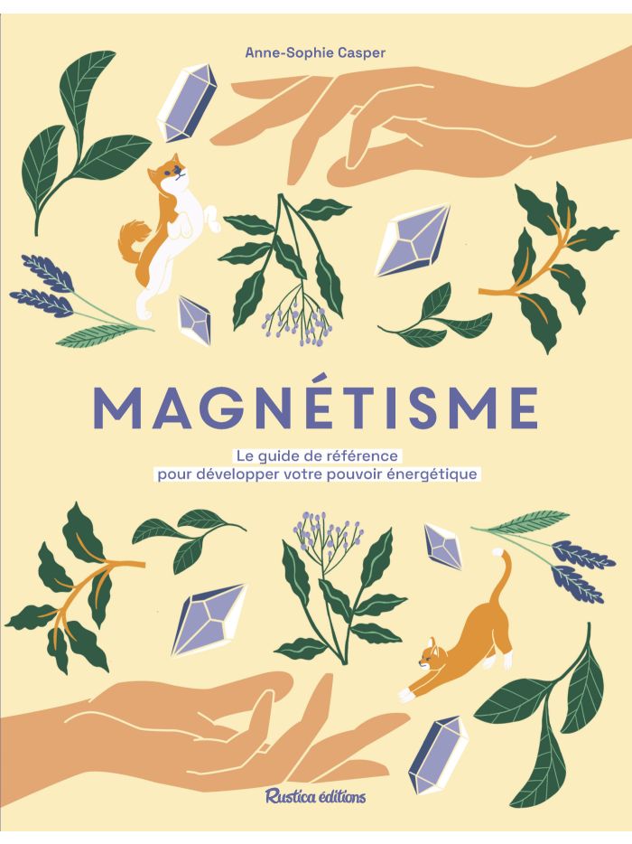 Magnétisme