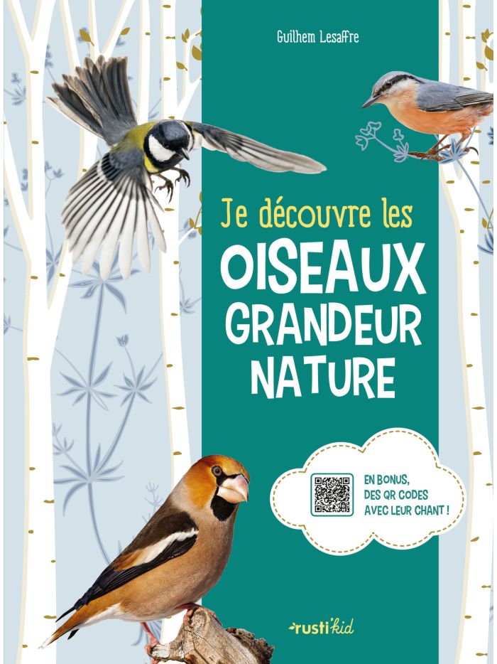 180 meilleures idées sur maisons d'oiseaux