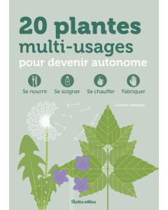 20 plantes multi-usages pour devenir autonome