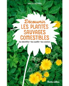 Découvrir les plantes sauvages comestibles