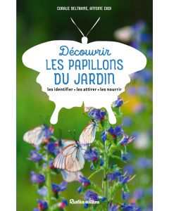 Découvrir les papillons du jardin