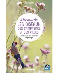 Découvrir les oiseaux des campagnes et des villes