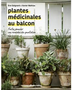 Plantes médicinales au balcon